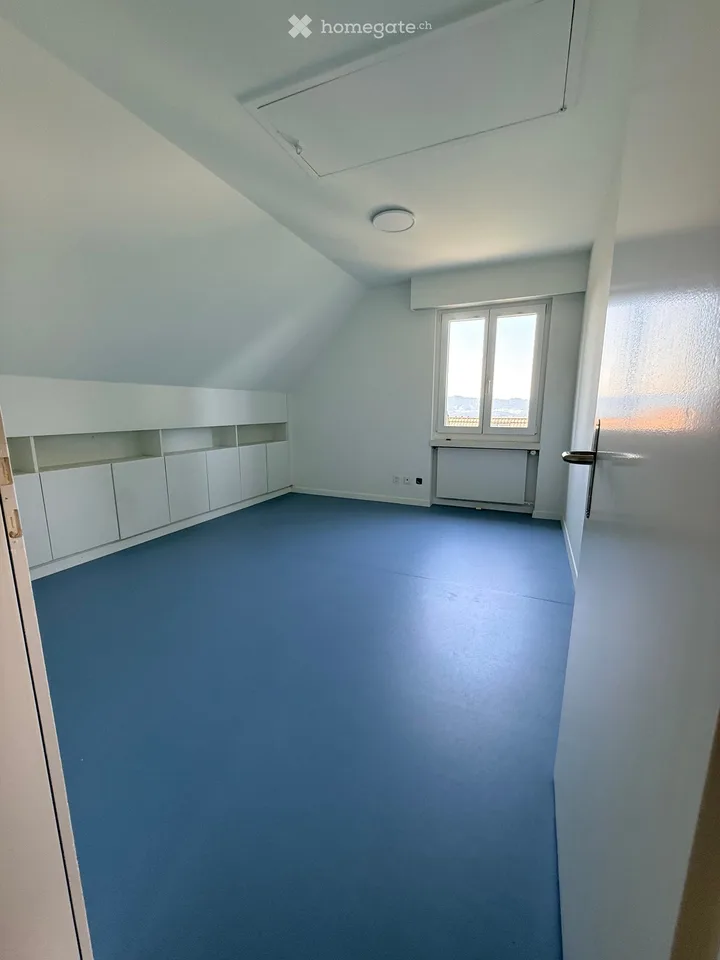 Magnifique appartement maisonnette 6 pièces avec vue sur le lac et la campagne