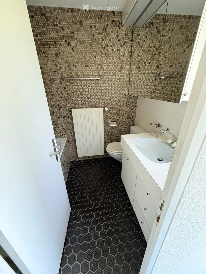 Magnifique appartement maisonnette 6 pièces avec vue sur le lac et la campagne