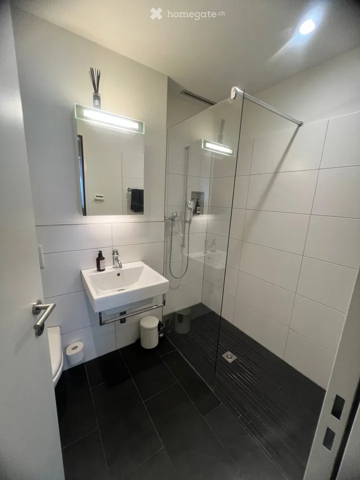 Wohntraum: Moderne, exklusive 4.5-Zimmer-Wohnung mit Terrasse und Balkon im Eigentumsstandard