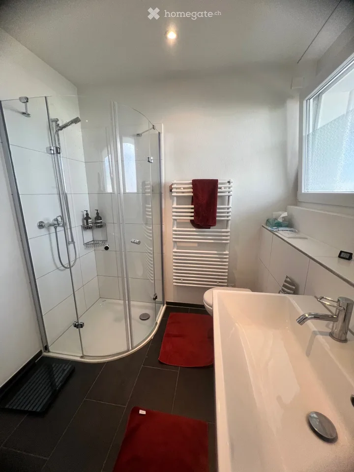 Wohntraum: Moderne, exklusive 4.5-Zimmer-Wohnung mit Terrasse und Balkon im Eigentumsstandard