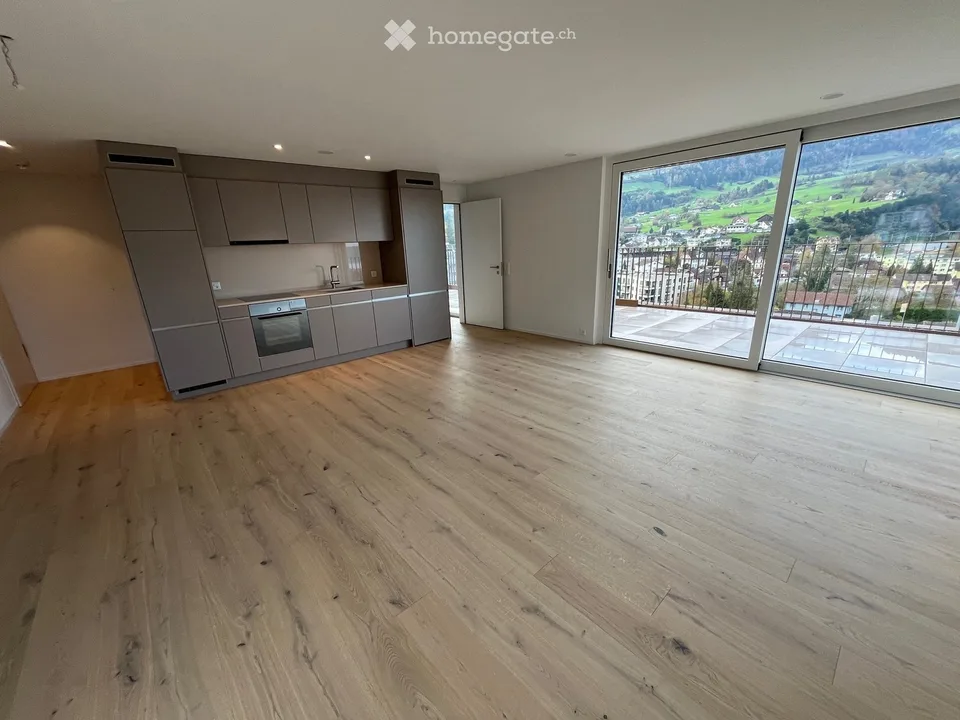 Attic apartment in Goldau