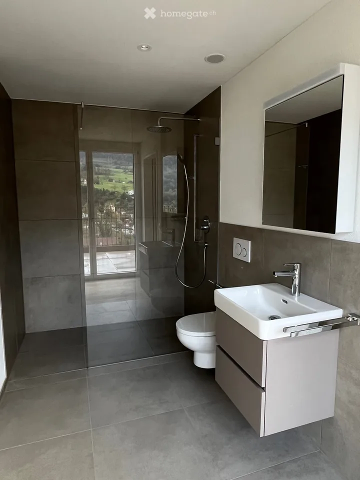 Attic apartment in Goldau
