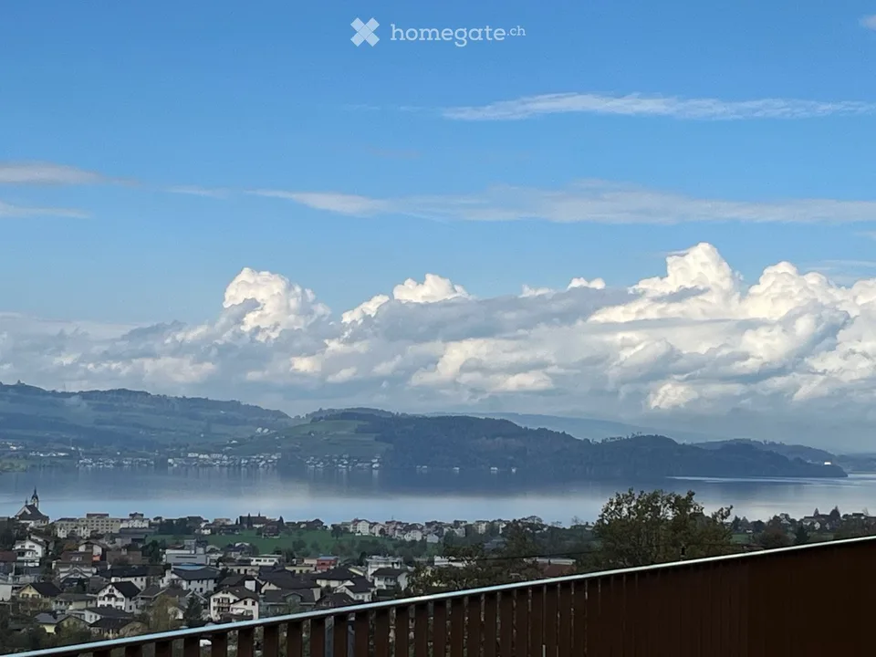 Attic apartment in Goldau