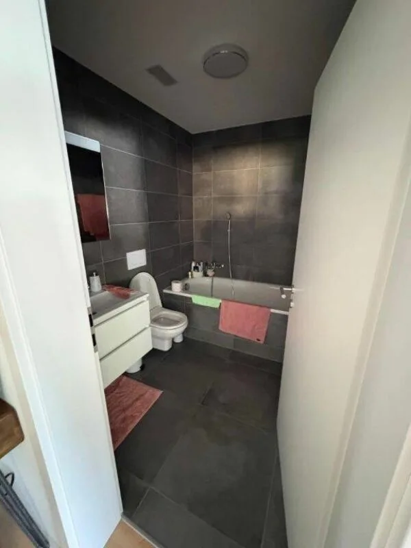 Location 4.5 rooms PPE Bellevue Vouvry