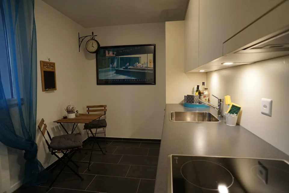 ESPACIEUX, HABITATION MEUBLÉE AVEC UNE VUE PANOGRAMIQUE ET DEUX BALCONS