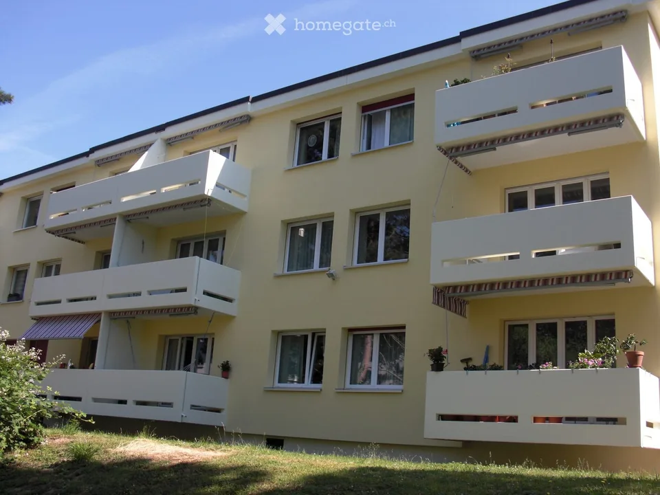 schöne, helle und ruhig gelegene 3 1/2 Zimmerwohnung