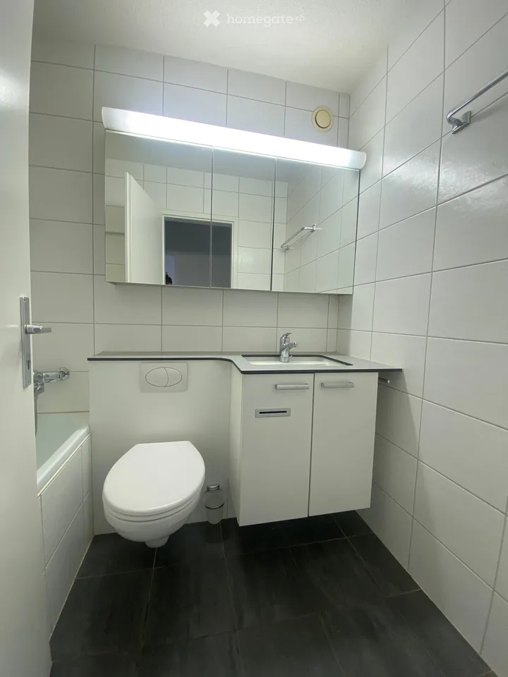 schöne, helle und ruhig gelegene 3 1/2 Zimmerwohnung