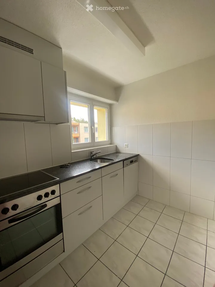 schöne, helle und ruhig gelegene 3 1/2 Zimmerwohnung
