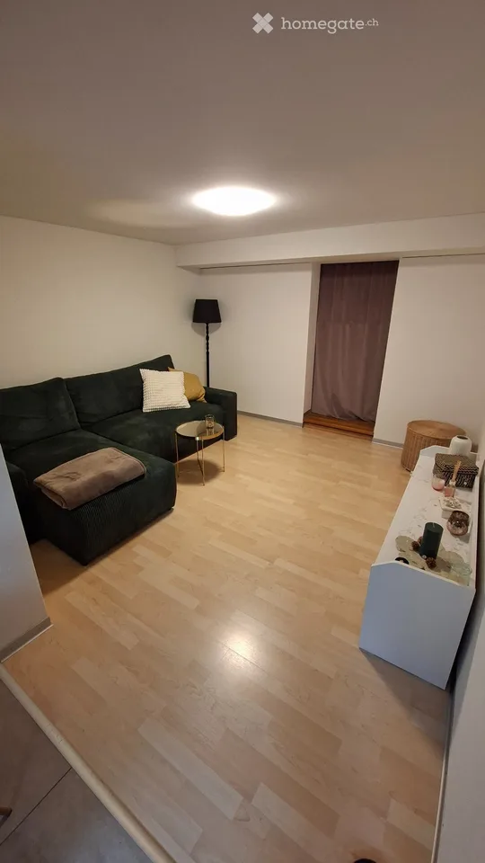 Appartement 2 pièces au rez-de-chaussée, situation centrale à partir du 1.11.26