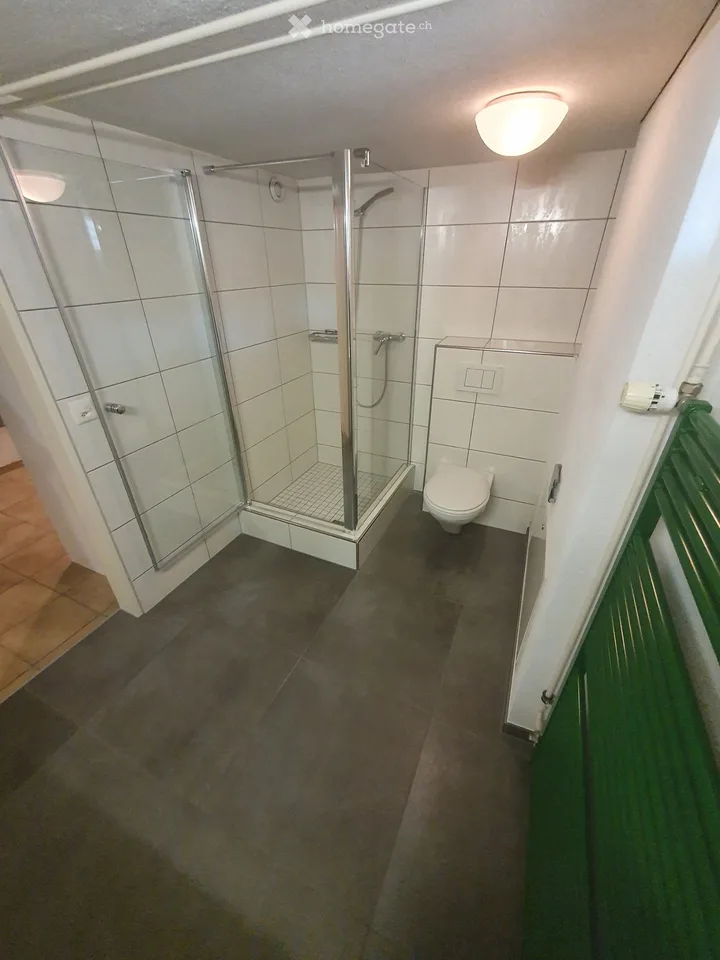 Appartement 2 pièces au rez-de-chaussée, situation centrale à partir du 1.11.26