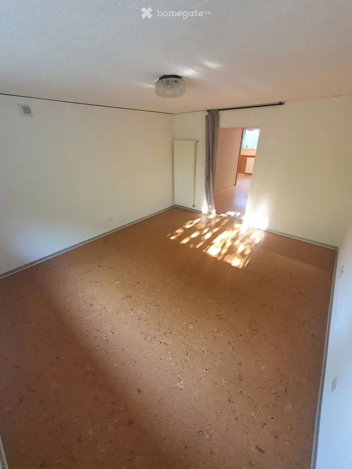 Appartement 2 pièces au rez-de-chaussée, situation centrale à partir du 1.11.26