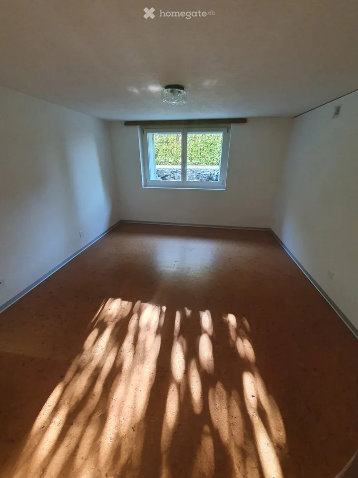 Appartement 2 pièces au rez-de-chaussée, situation centrale à partir du 1.11.26