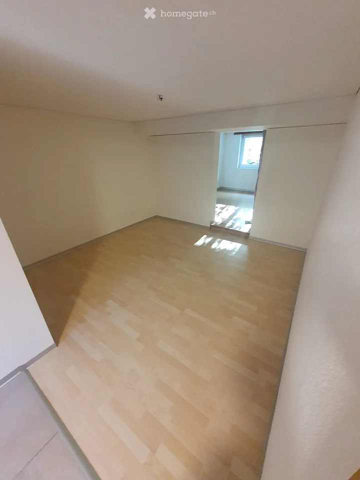 Appartement 2 pièces au rez-de-chaussée, situation centrale à partir du 1.11.26