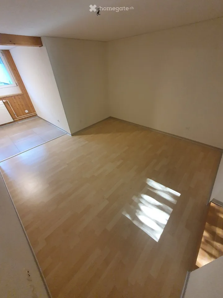 Appartement 2 pièces au rez-de-chaussée, situation centrale à partir du 1.11.26