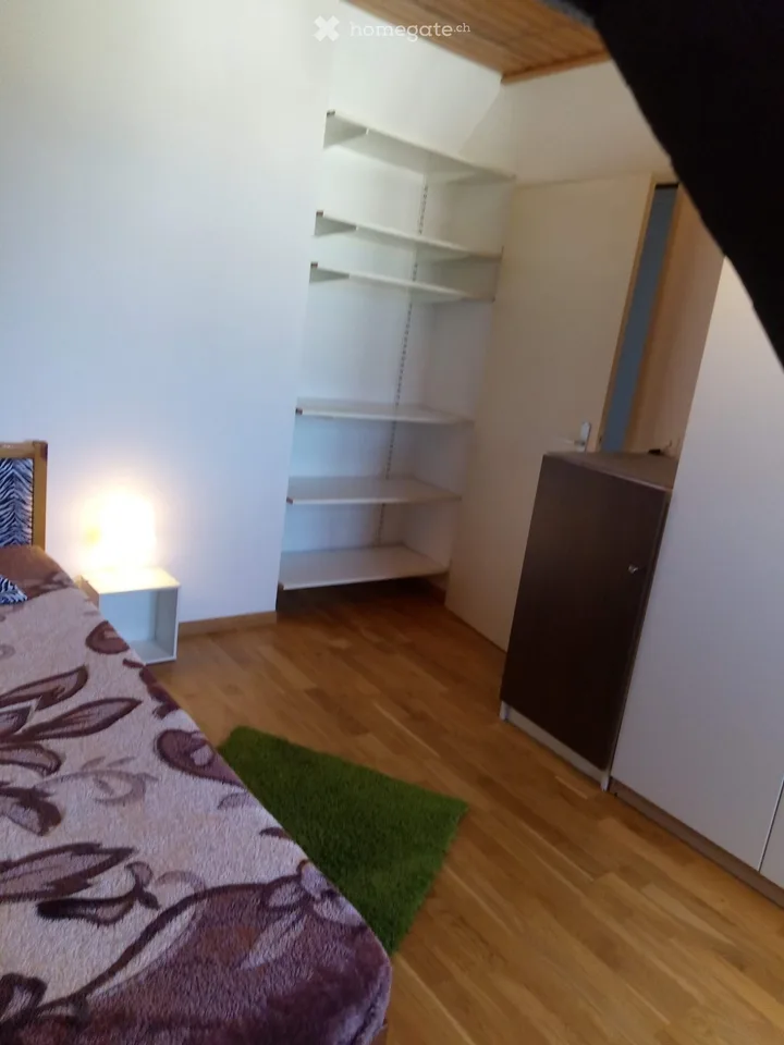 Nähe ÖV - Hübsches möbliertes Zimmer mit Doppelbett in Basel