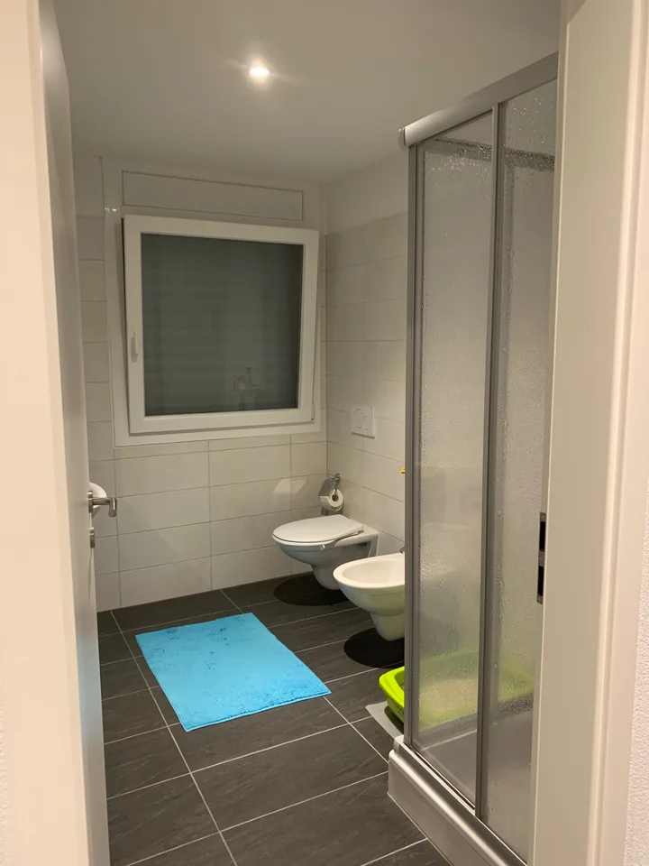 Appartement lumineux de 4 pièces à Sementina