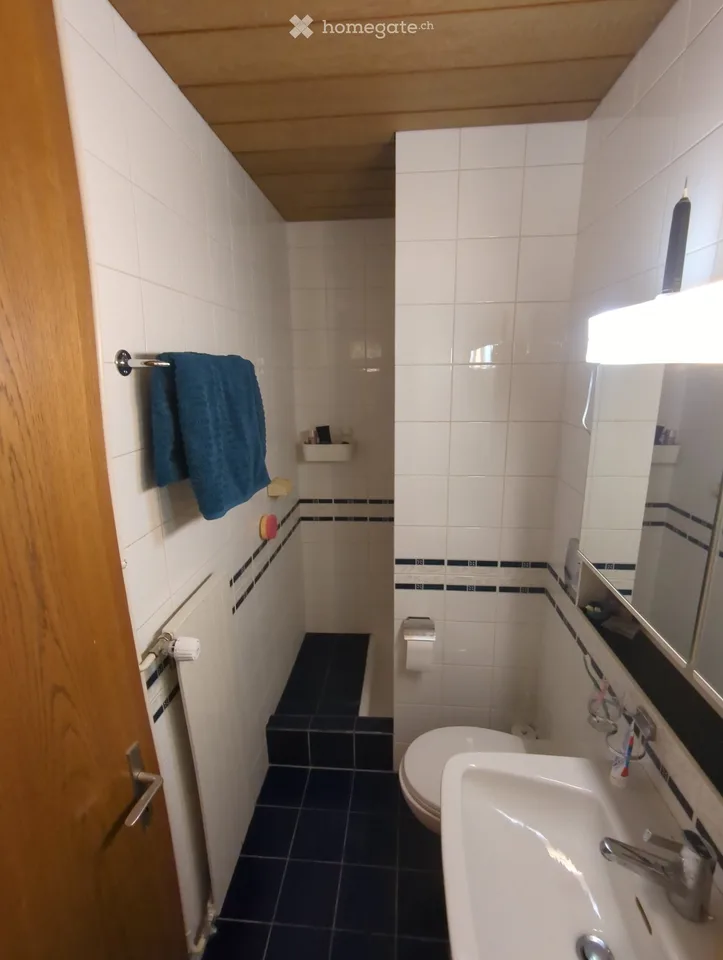 Untervermietung von Wohnung im Stadtzentrum Neuchâtel - Ab Ende Oktober