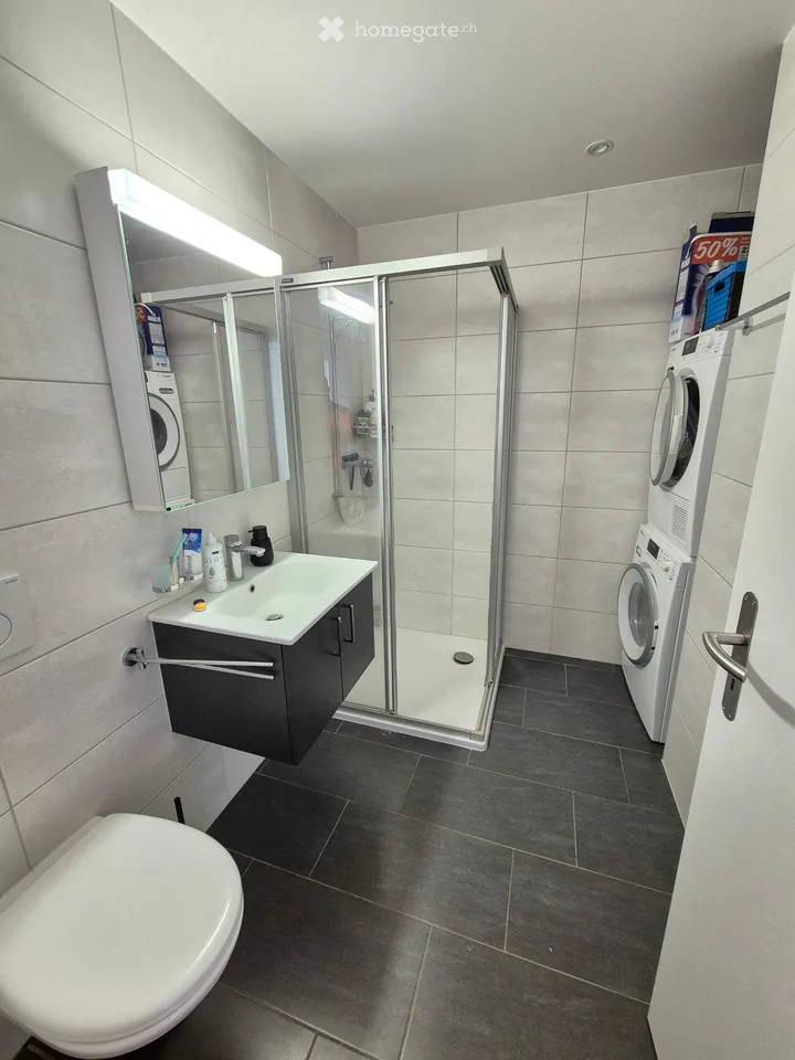 Charming 3.5 rooms for rent