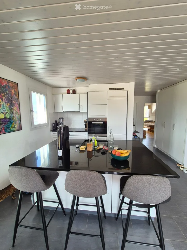 Charming 3.5 rooms for rent