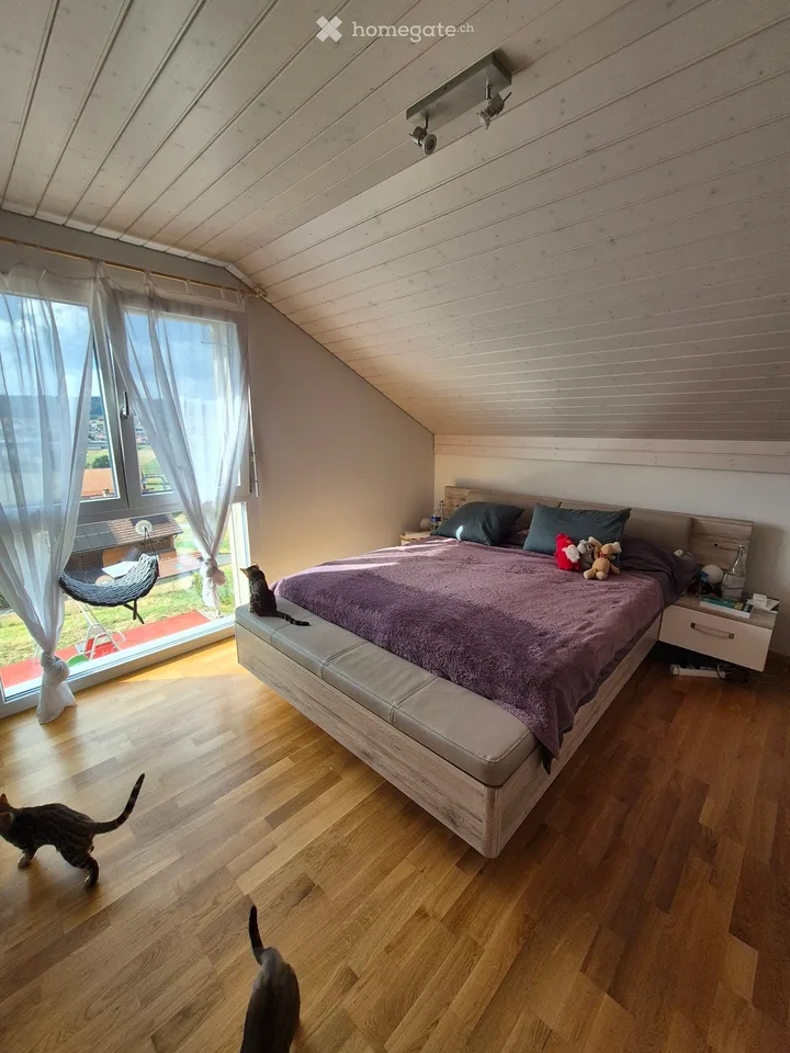Charming 3.5 rooms for rent