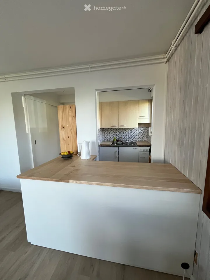 Zweizimmerwohnung mit Terrasse und Seeblick