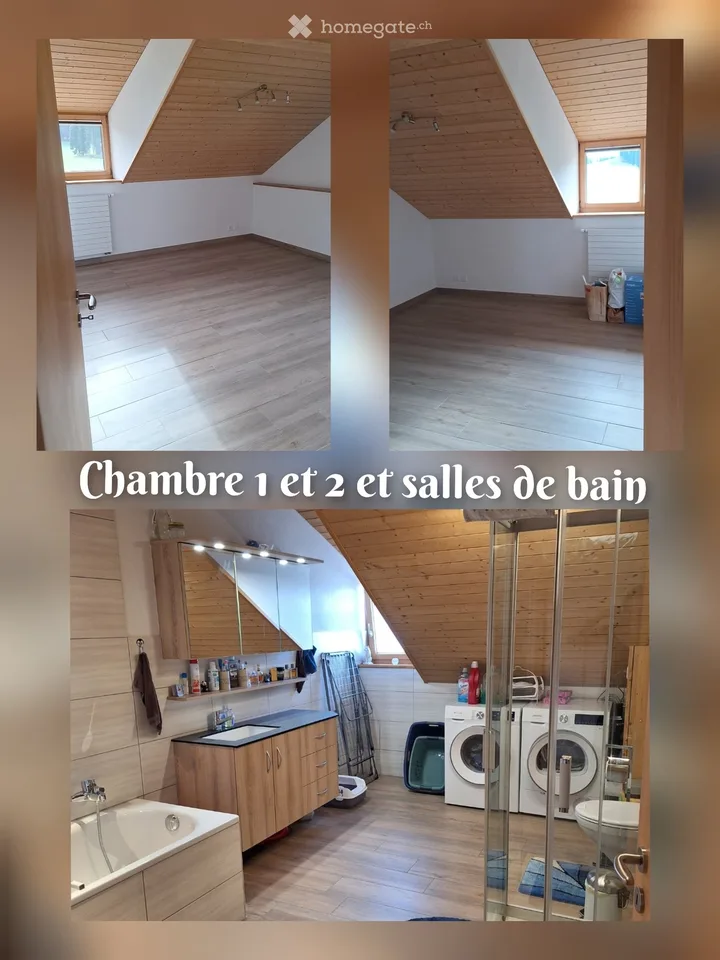 Charming apartment for rent in Estévenens