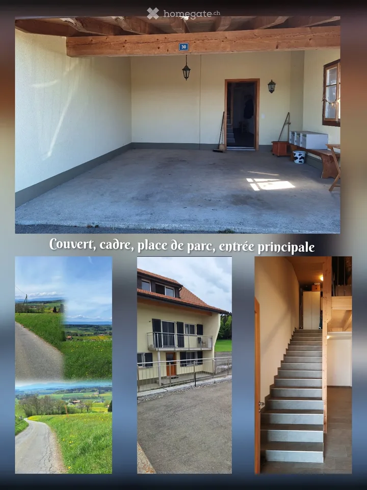 Charming apartment for rent in Estévenens