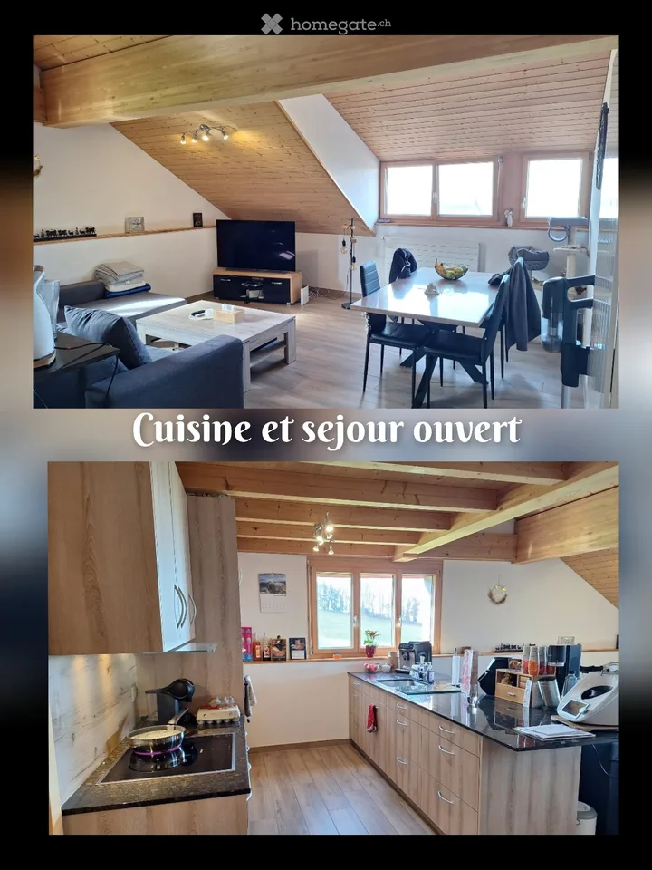 Charming apartment for rent in Estévenens