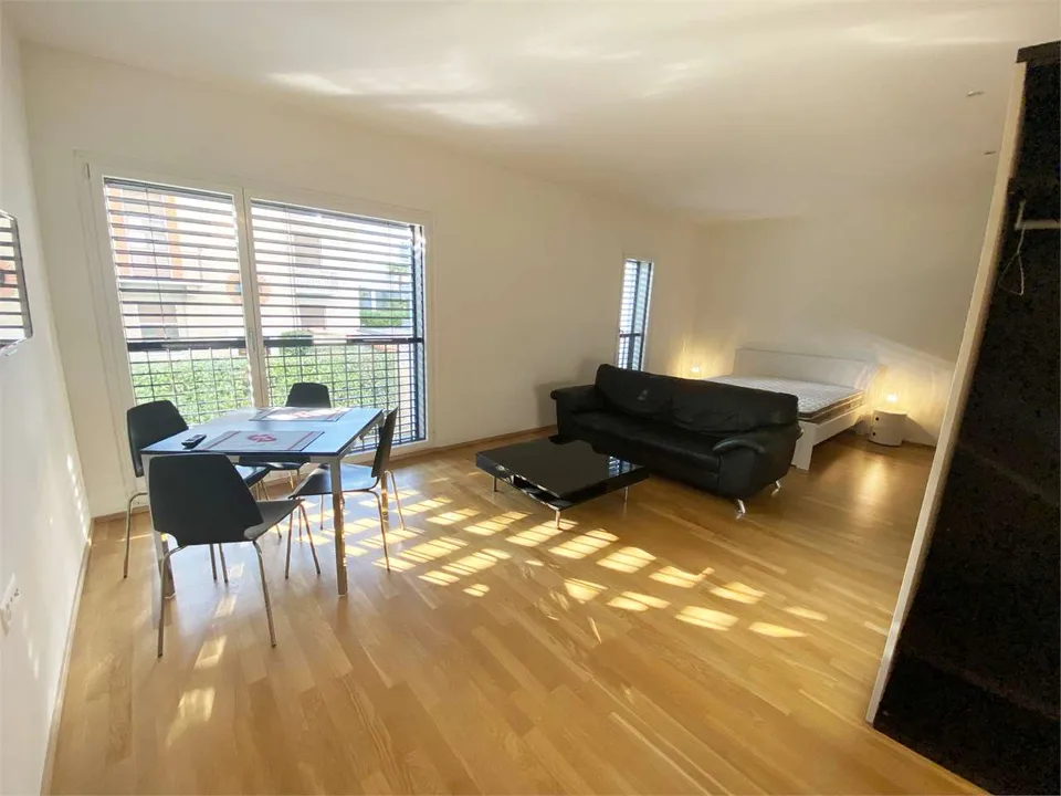 2702_Moderne Einzimmerwohnungen im Herzen von Lugano, Komfort und Praktik