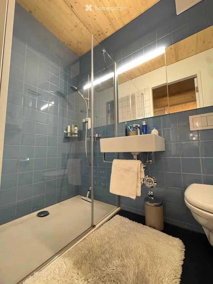 Appartamento Luminoso & Moderno di 3,5 Locali a Birmensdorf ZH – Costruzione Nuova con Vista Panoramica