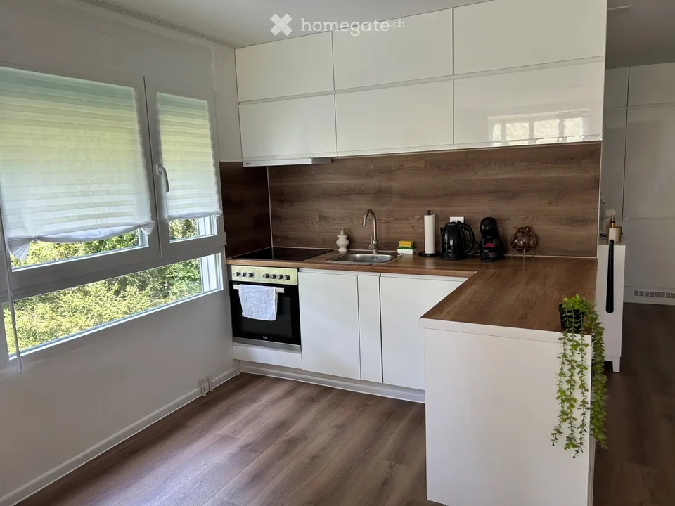 Appartamento di 3½ locali con locale aggiuntivo
