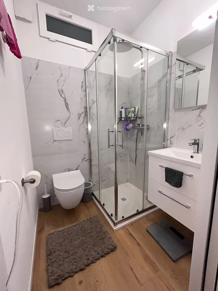 Submieter gesucht 3.5 Zimmer in Minusio