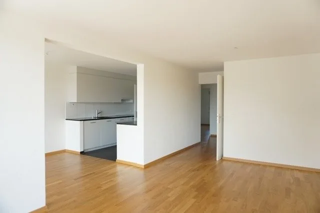 Appartement central à Effretikon