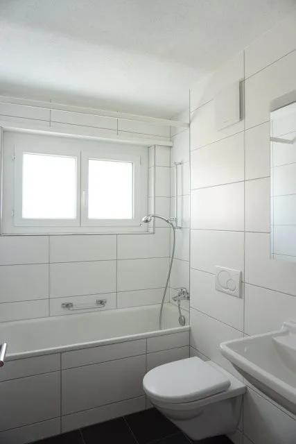 Appartement central à Effretikon