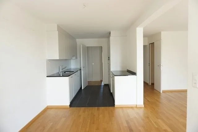 Appartement central à Effretikon