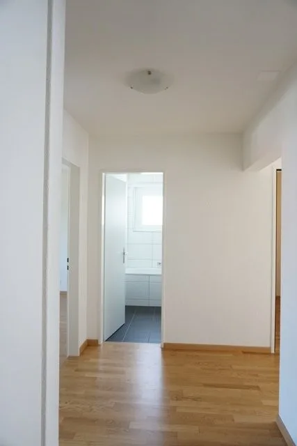 Appartement central à Effretikon