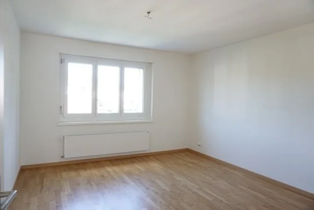 Appartement central à Effretikon