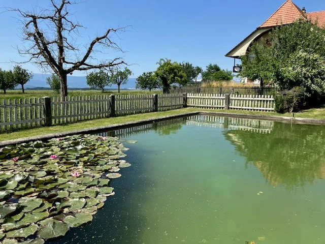 Wohnung mit Charme auf dem Land mit herrlicher Aussicht