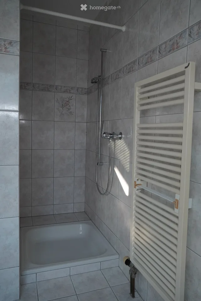 Charmante 5-Zimmer-Dachgeschosswohnung in Gränichen