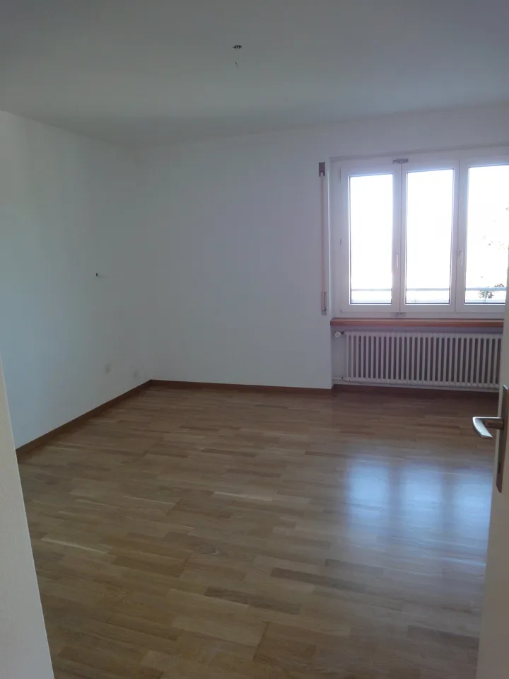 Helle 4.5-Zimmer-Wohnung mit Balkon und schöner Aussicht in Adliswil