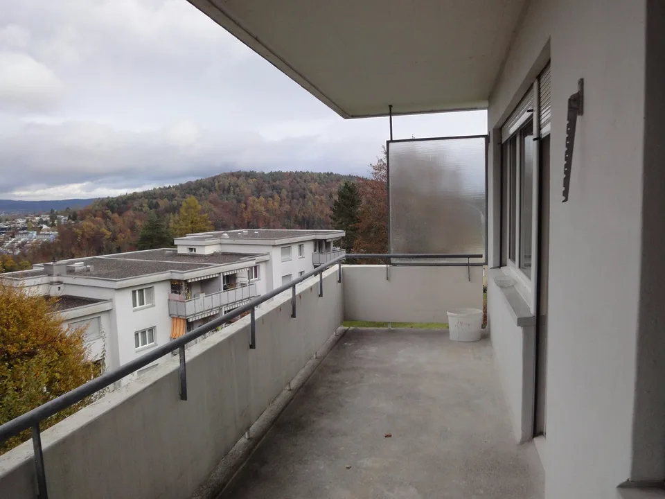 Helle 4.5-Zimmer-Wohnung mit Balkon und schöner Aussicht in Adliswil