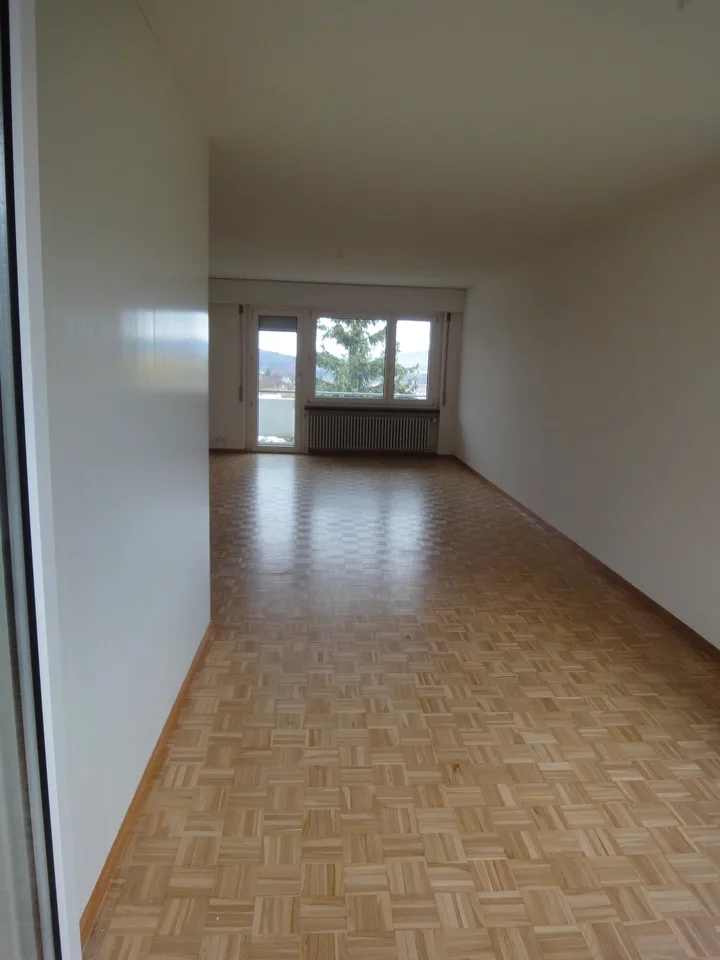 Helle 4.5-Zimmer-Wohnung mit Balkon und schöner Aussicht in Adliswil