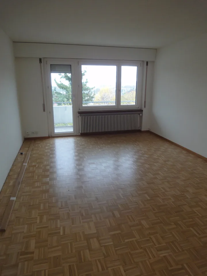 Helle 4.5-Zimmer-Wohnung mit Balkon und schöner Aussicht in Adliswil