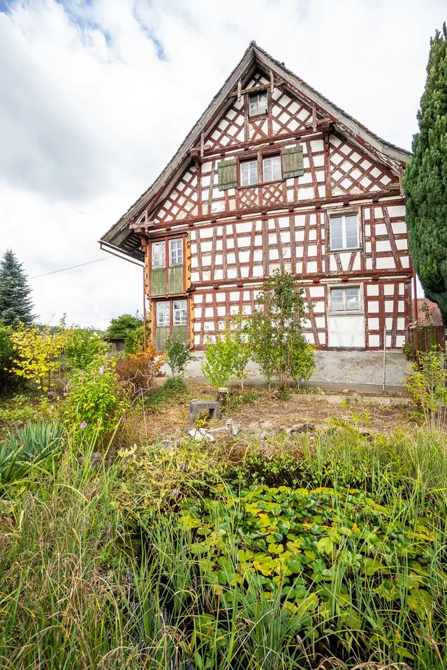 Charmantes Riegelhaus mit Stall und grosszügigem Umschwung