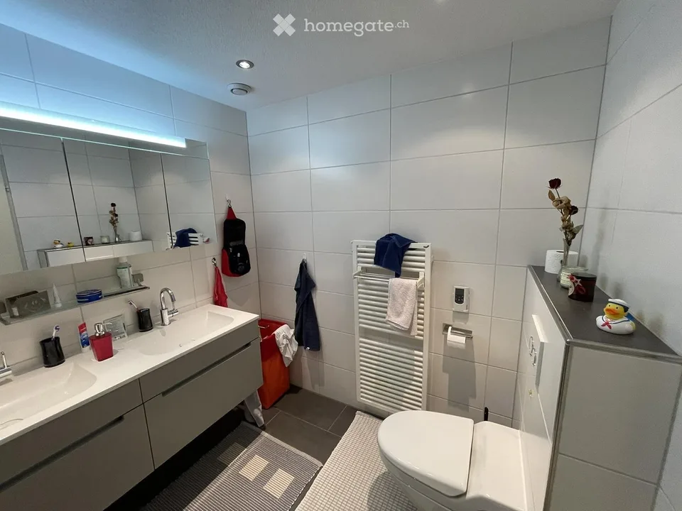 Duplex/Maisonette Apartment in Uzwil