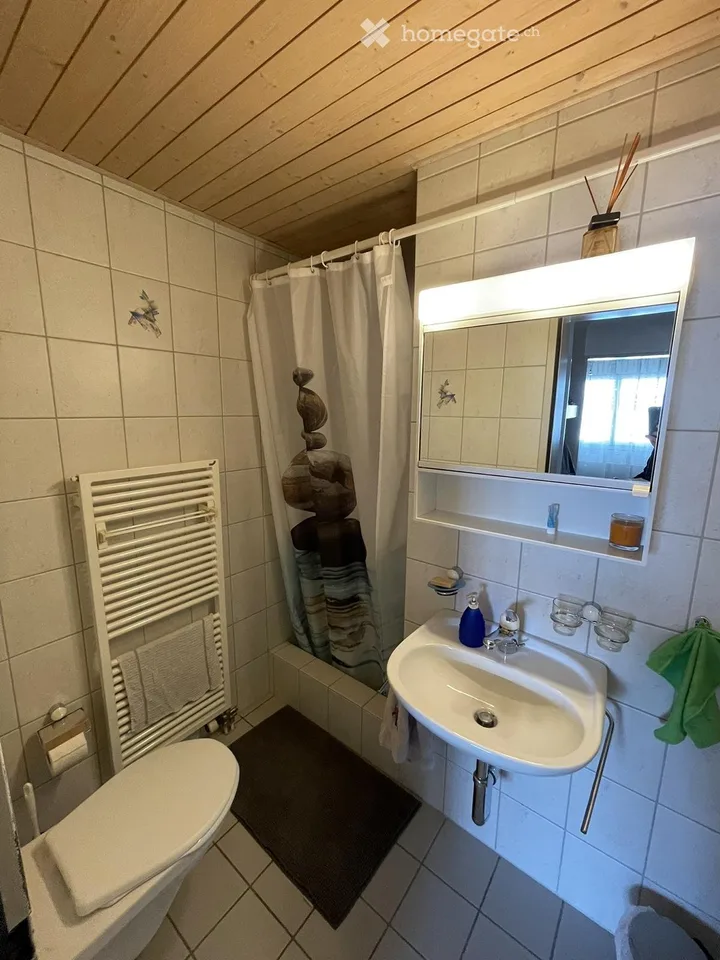 Duplex/Maisonette Apartment in Uzwil