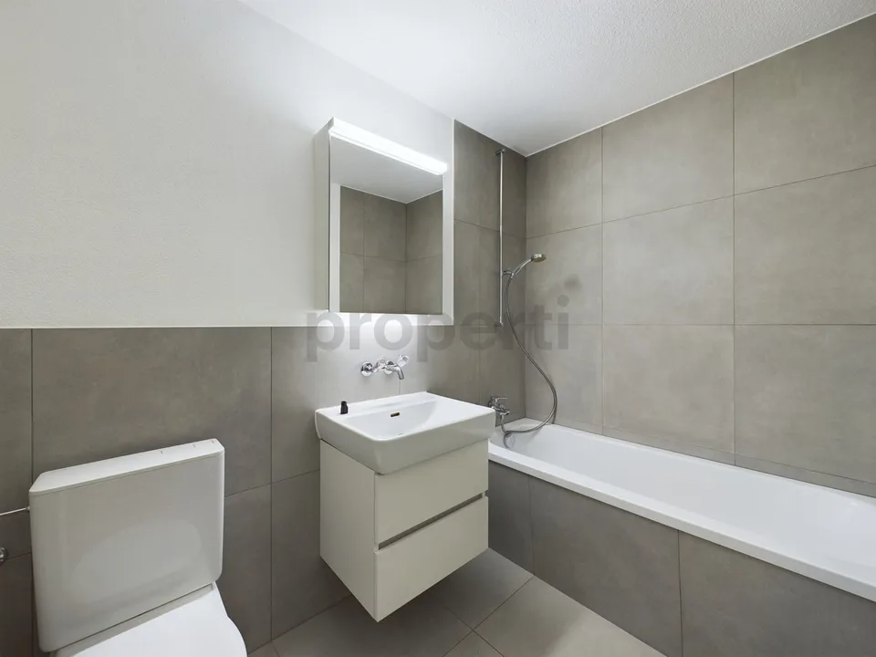 Exklusive 4.5-Zimmer-Wohnung in Eggenwil - Ihr neues Zuhause wartet!