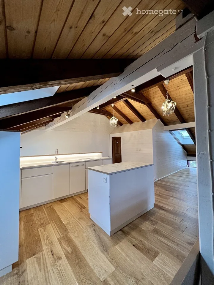Renovated attic apartment near Stäfa Rebberg Lattenberg