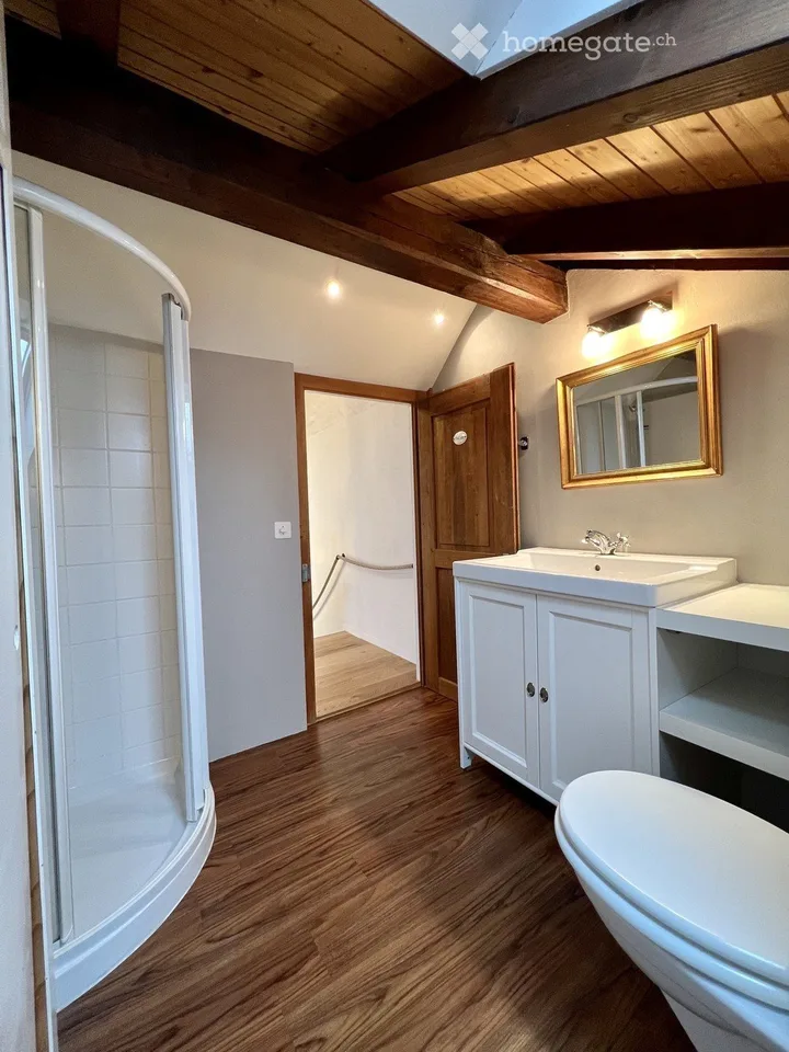 Renovated attic apartment near Stäfa Rebberg Lattenberg