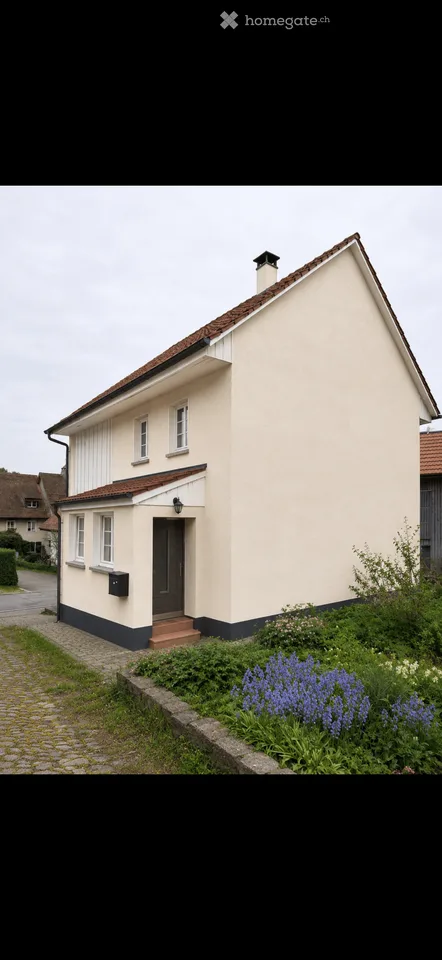 Maison mitoyenne exclusive avec deux unités de résidence à un emplacement idéal à Baden-Baldegg
